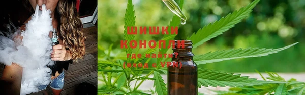 амф Зеленокумск