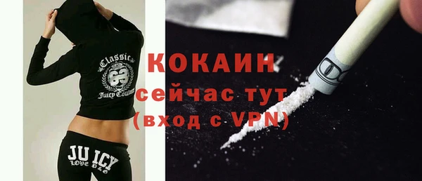 твердый Коряжма