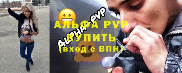 амф Богданович