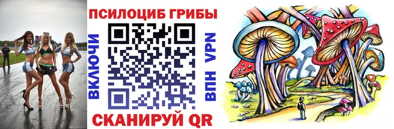 Галлюциногенные грибы Cubensis  Кисловодск 