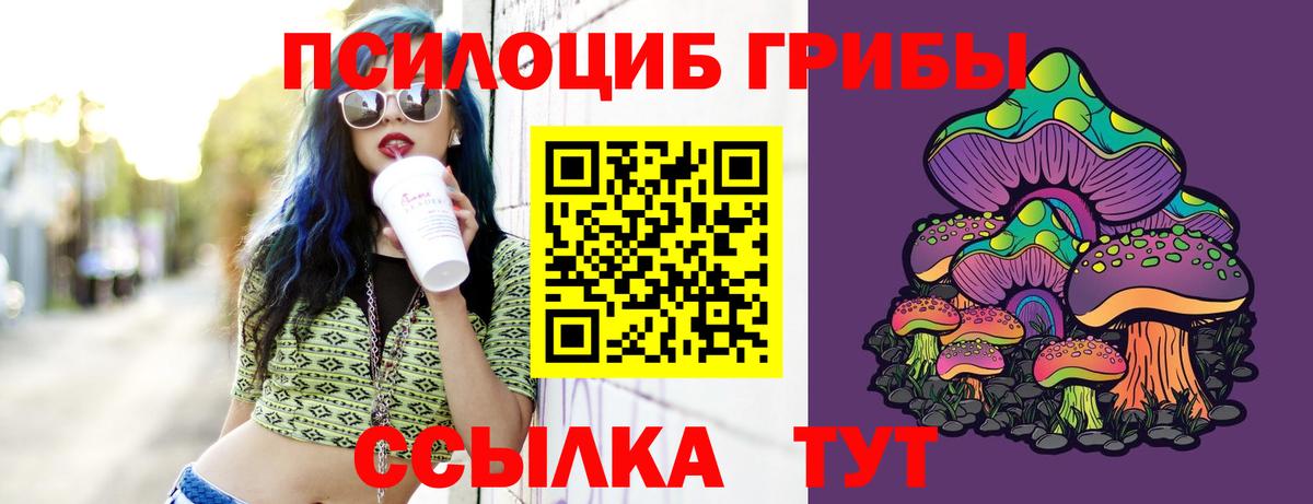 Кисловодск  Псилоцибиновые грибы мухоморы  Вход с VPN 